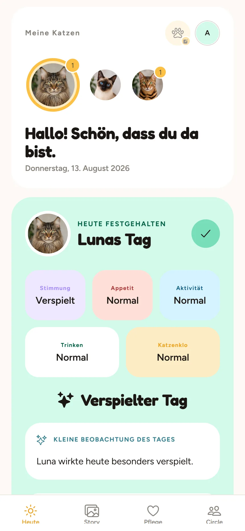 Today-Ansicht der Mewtual App mit den Katzen Luna, Milo und Nala